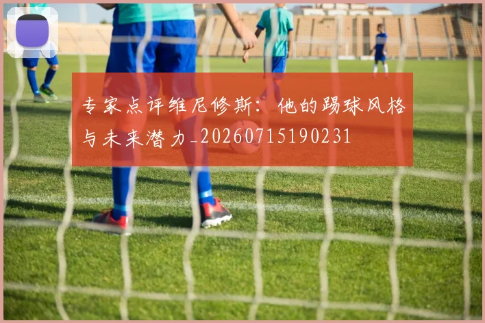 专家点评维尼修斯：他的踢球风格与未来潜力_20260715190231
