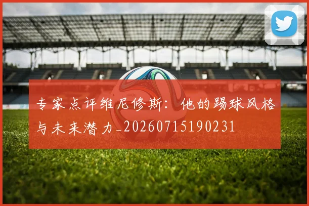 专家点评维尼修斯:他的踢球风格与未来潜力_20260715190231