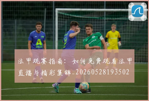 法甲观赛指南:如何免费观看法甲直播与精彩集锦_20260528193502